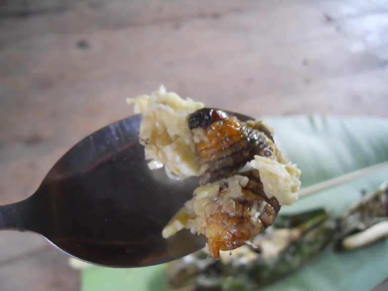 How To Win Friends And Influence People By Eating Larvae