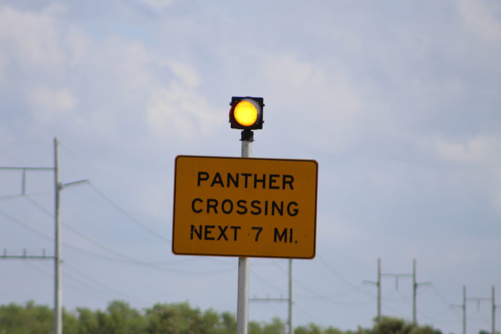 panther-crossing-sign