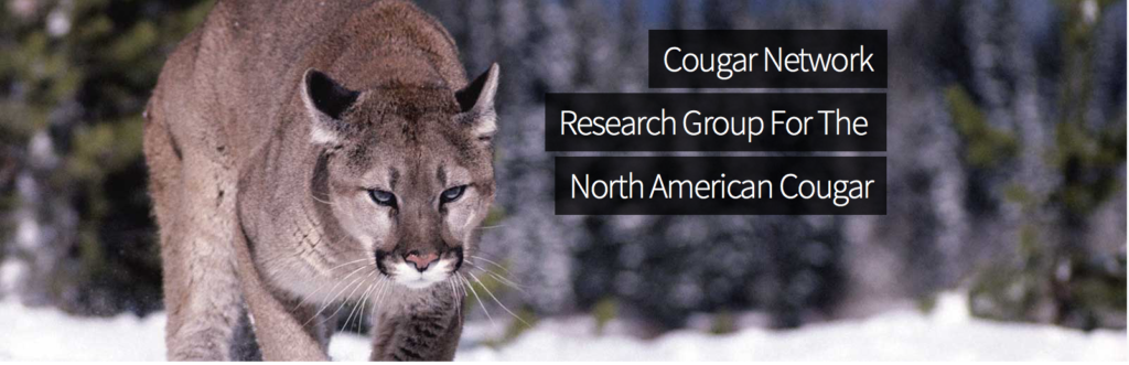 cougar-network-home-page